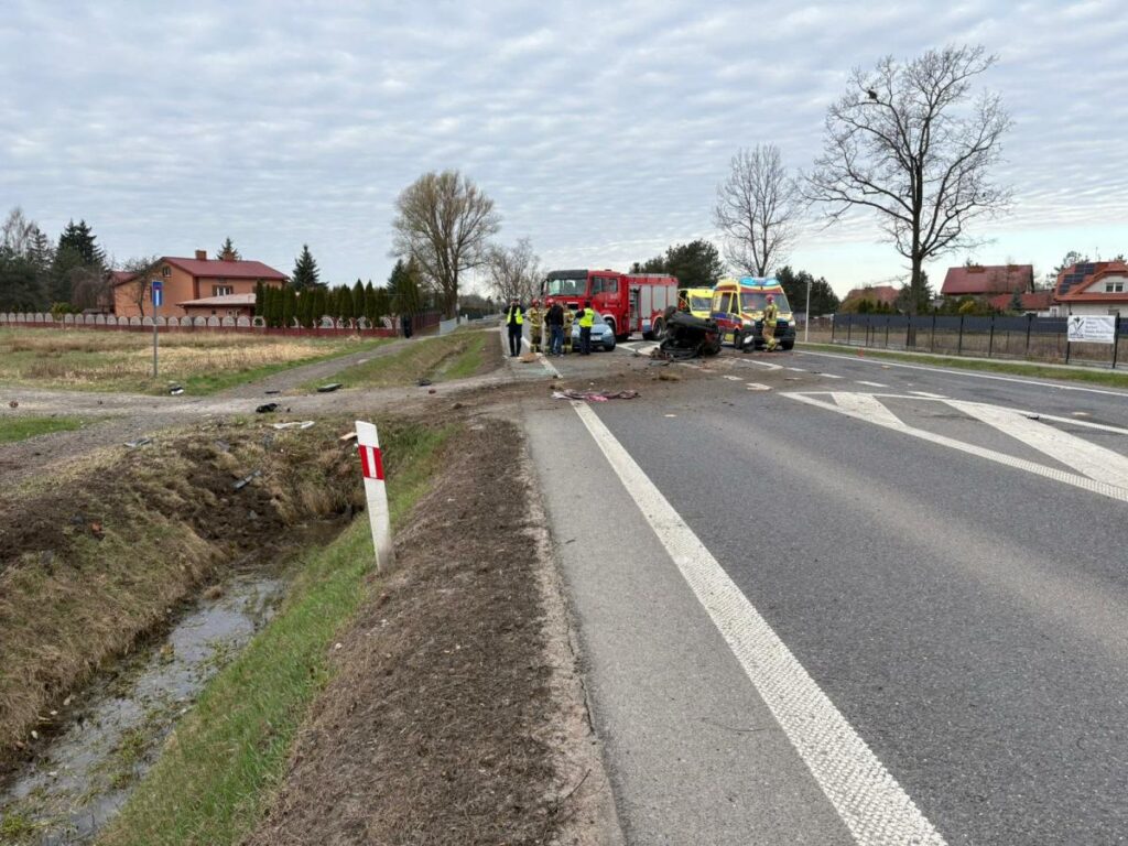 Na drodze doszło do wypadku; strażacy i ratownicy medyczni udzielają pomocy poszkodowanym. W tle domy i zieleń.