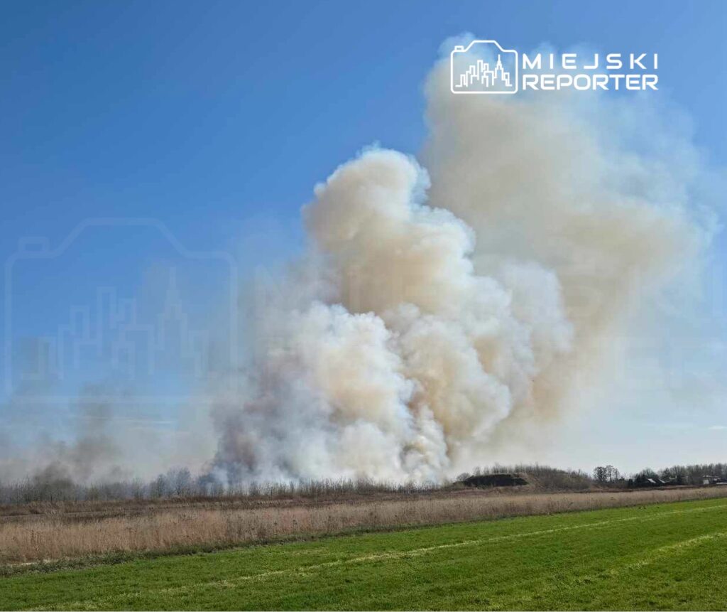 Gęsty słup dymu unoszący się z wyżyny na tle niebieskiego nieba, otoczenie z zieloną łąką i nagimi drzewami.