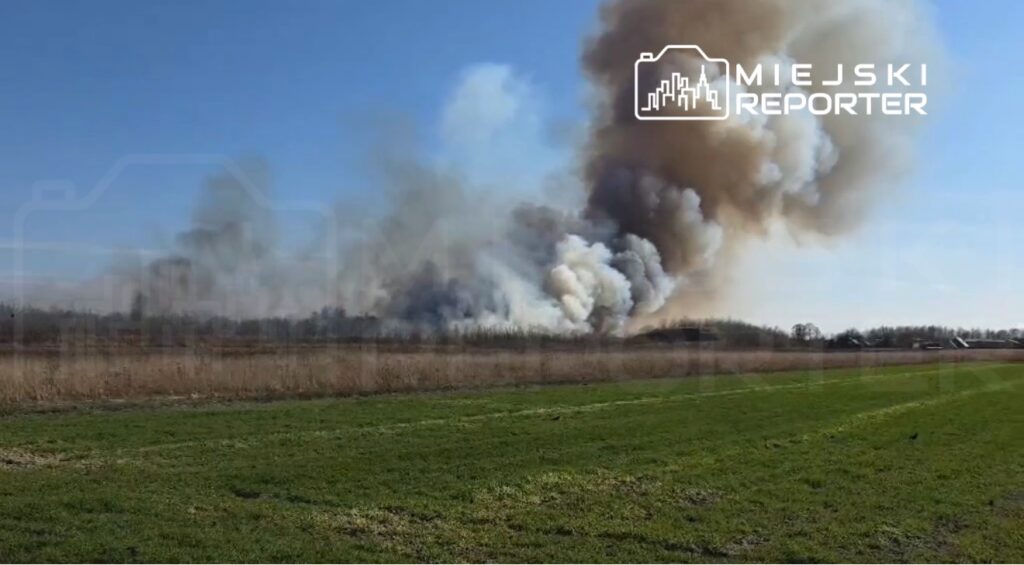 Gęsty dym unoszący się nad polem, w tle widoczne płonące zarośla w słoneczny dzień.
