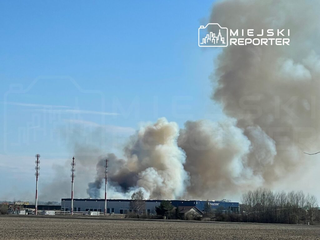 W tle widać zakład przemysłowy, z którego unosi się gęsty dym w kierunku nieba, na pierwszym planie pola uprawne.