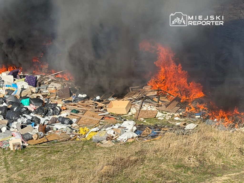 Ogień trawi stos odpadów, w tym plastikowych worków i drewnianych elementów, w otoczeniu dymu i trawy.
