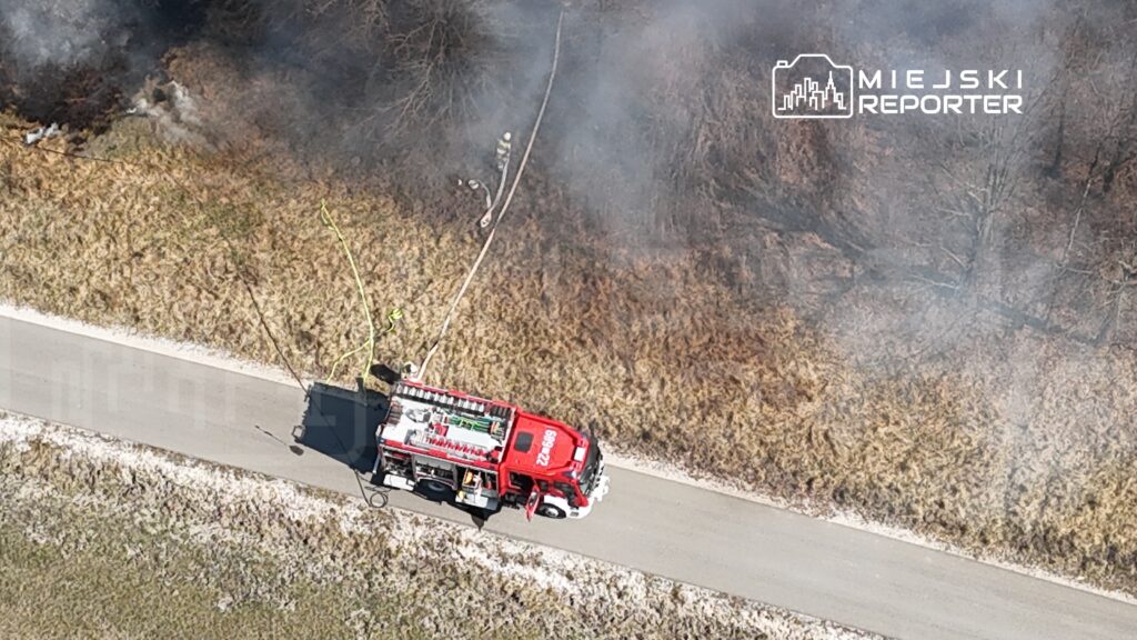 Czerwony wóz strażacki zatrzymany przy drodze, podczas gaszenia pożaru trawy w lesie, w tle widoczne kłęby dymu.