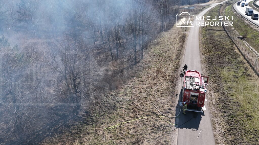 Strażacy gaszą pożar trawy przy drodze, obok widać wóz strażacki oraz dym unoszący się z lasu.
