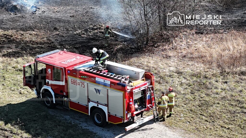 Strażacy pracują nad ugaszeniem pożaru trawy, używając węża strażackiego na zalesionym terenie.