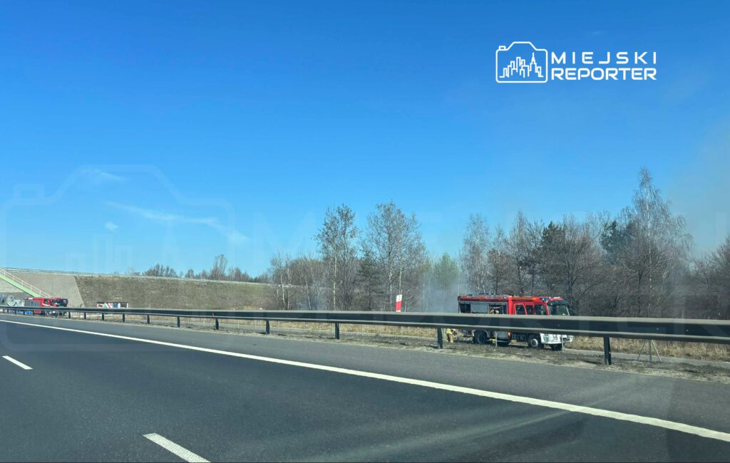 Strażacy gaszą pożar trawy obok drogi, w tle widać wóz strażacki i dym unoszący się z terenu.