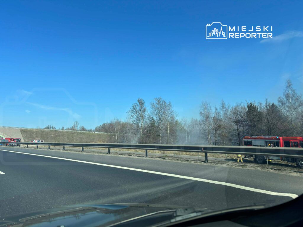 Czerwony wóz strażacki gasi pożar trawy przy drodze, w tle widoczne drzewa i niebieskie niebo.