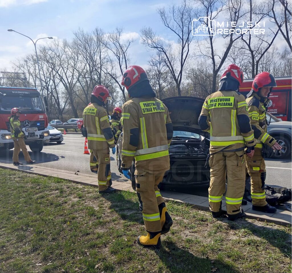 Grupa strażaków w mundurach z logo "Państwowa Straż Pożarna" pracuje przy unieruchomionym samochodzie na poboczu drogi.