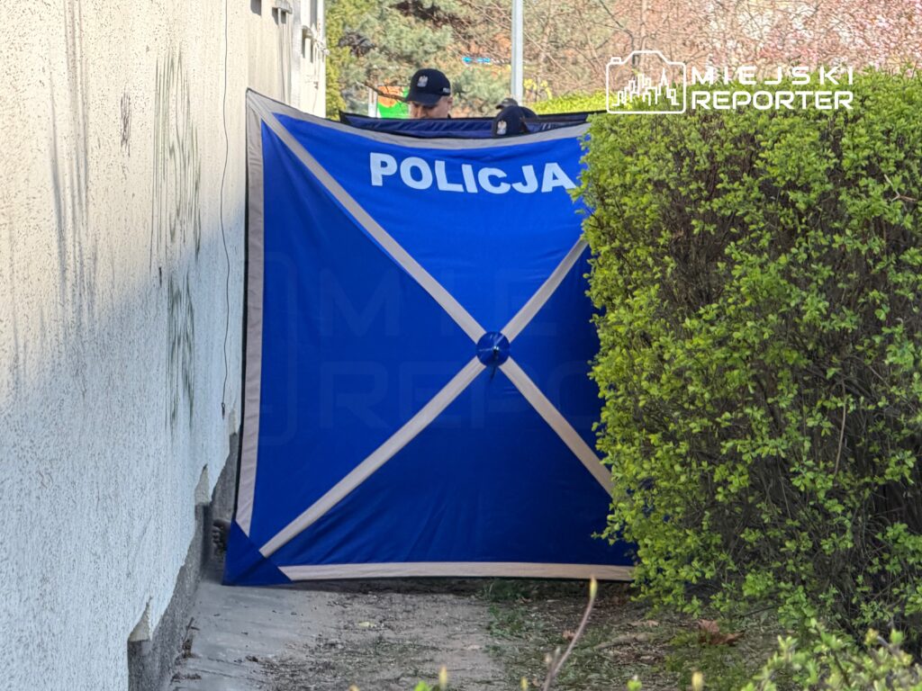 Policjanci ustawiają niebieską płachtę ochronną przy ścianie budynku, otoczoną zielonymi krzewami.