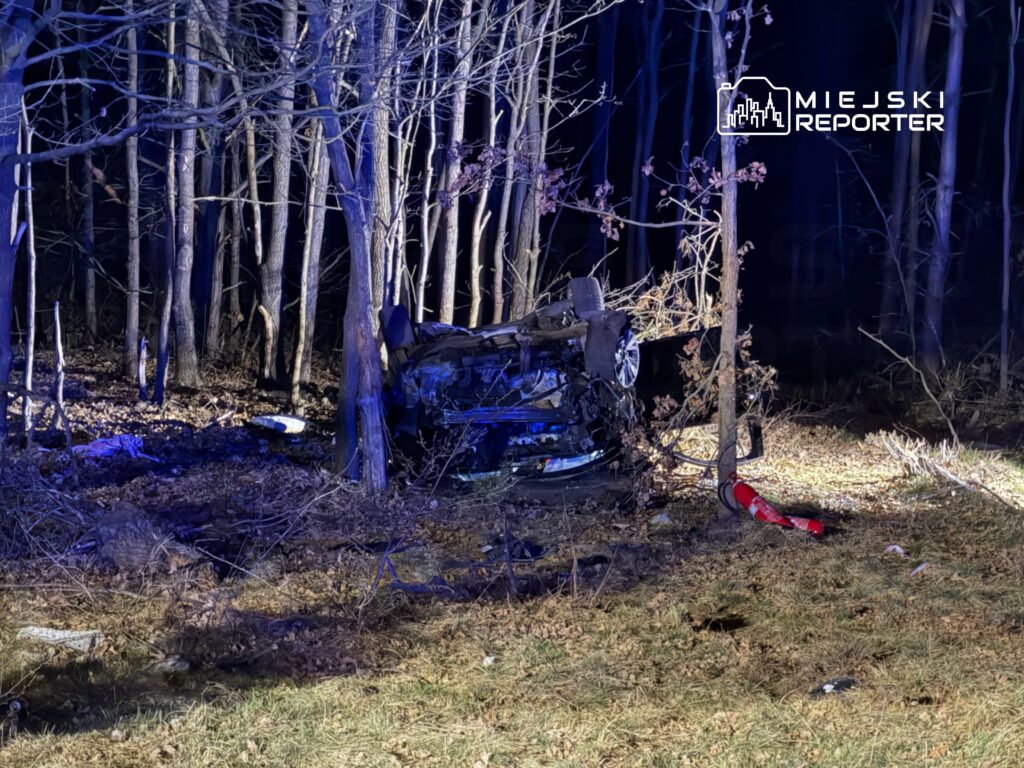W przewróconym samochodzie leżącym w lesie, otoczonym przez drzewa, widoczne są ślady wypadku.