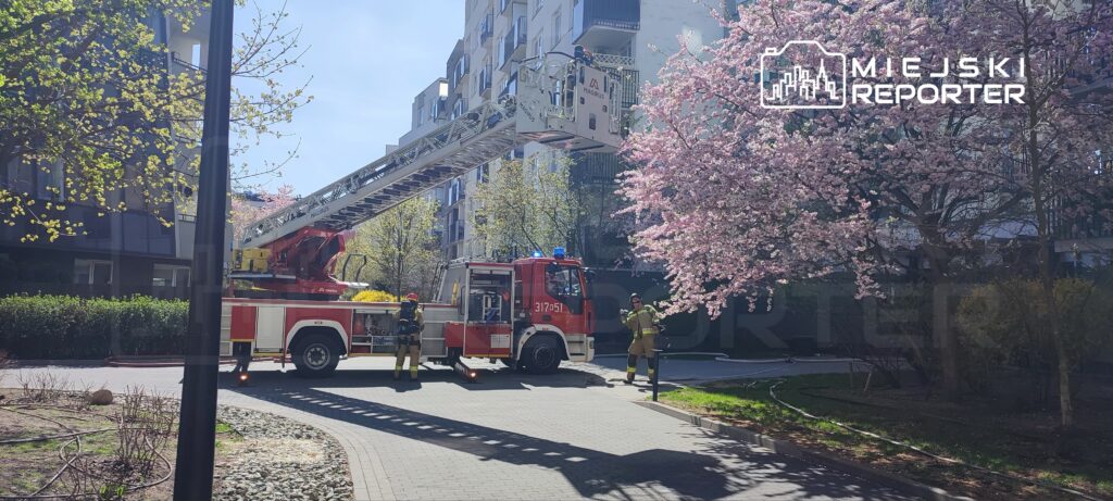 Strażacy przy użyciu podnośnika gaśniczego pracują w pobliżu kwitnących drzew w osiedlowym dziedzińcu.