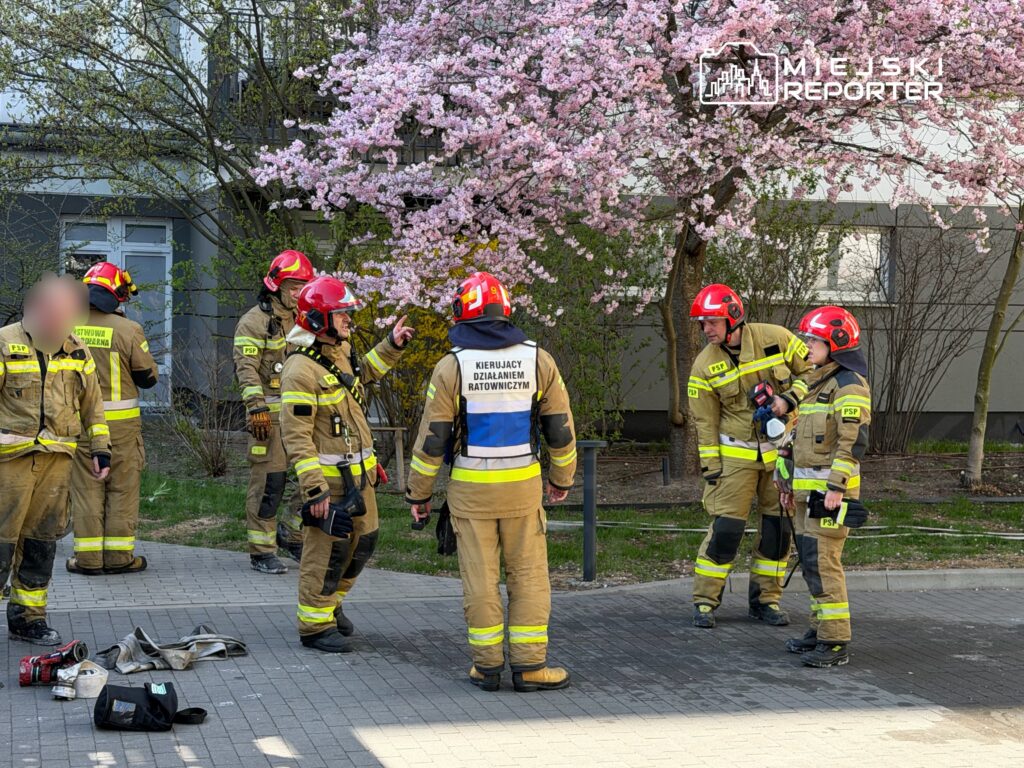 Grupa strażaków w mundurach omawia działania ratunkowe w otoczeniu kwitnących drzew.
