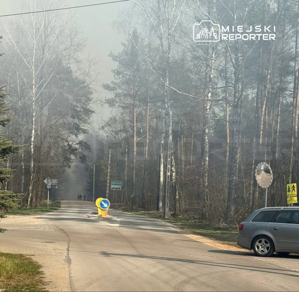 Dwoje ludzi idących w kierunku lasu, w tle widoczna mgła i drogi z oznaczeniami drogowymi.