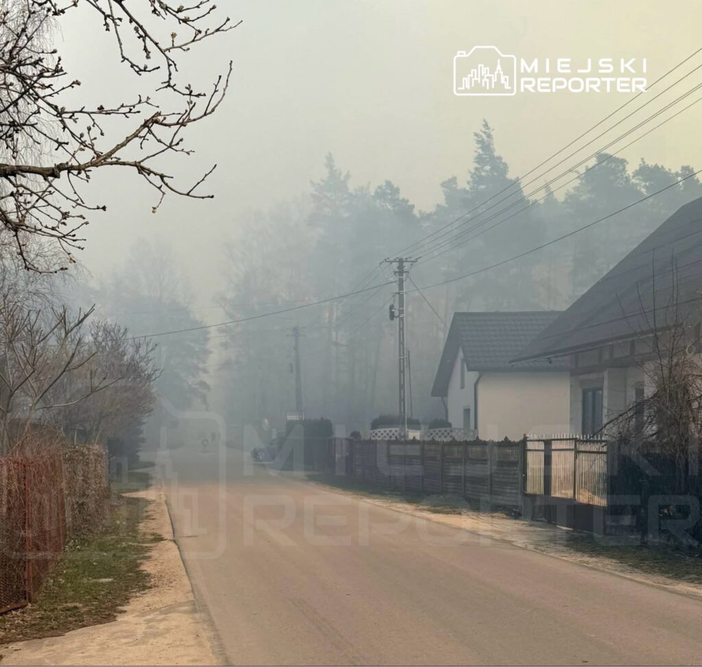 Mglista ulica z widokiem na domy, w tle zarośla otoczone dymem z pożaru. Widać słupy elektryczne i ogrodzenie.