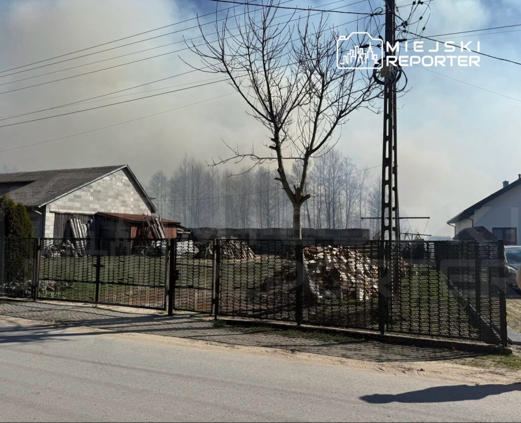 Dym unoszący się nad terenem z drewnianymi stosami i budynkiem w tle, w otoczeniu drzew i linii energetycznych.