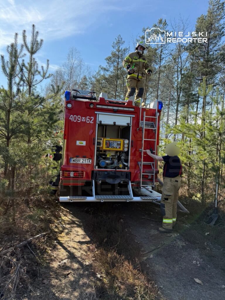 Strażak na dachu wozu strażackiego w lesie, drugi strażak przygotowuje sprzęt z boku pojazdu.