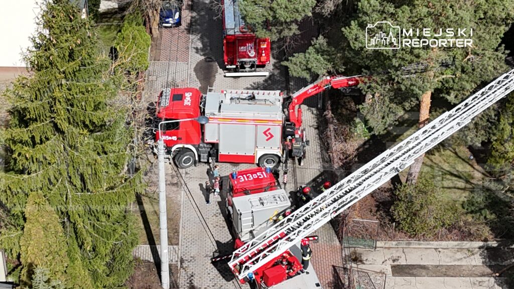 Wielka czerwona strażacka ciężarówka z drabiną rozstawioną obok, strażacy pracujący w otoczeniu drzew i budynków.