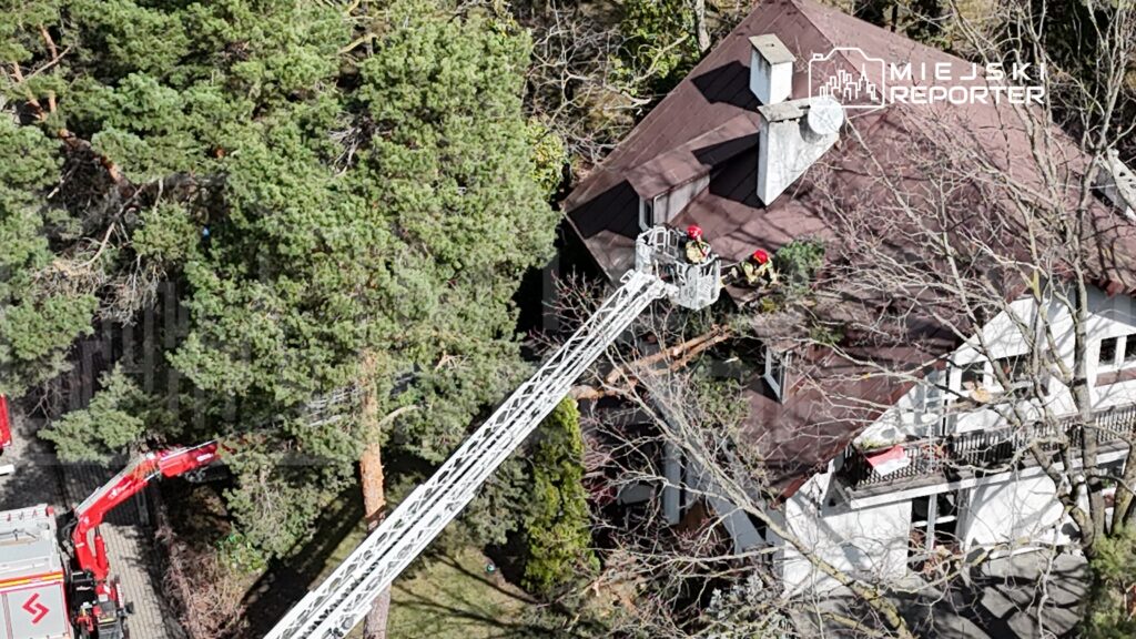 Strażacy w kaskach pracują na dachu budynku, używając podnośnika strażackiego do usunięcia gałęzi.