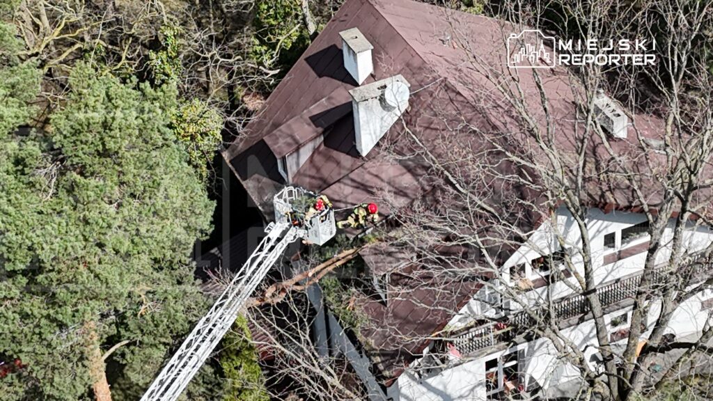 Drużyna strażaków korzysta z podnośnika, usuwając gałęzie z dachu budynku otoczonego drzewami.