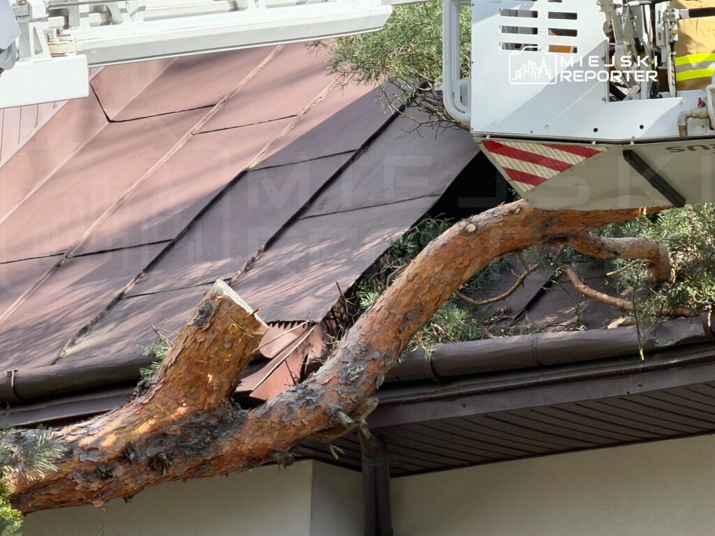 Dźwig z pracownikami usuwa gałąź drzewa, która opiera się na dachu budynku.