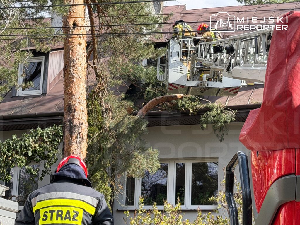 Strażacy na wysięgniku usuwają gałęzie z dachu budynku, obok stoi mężczyzna w mundurze strażackim.