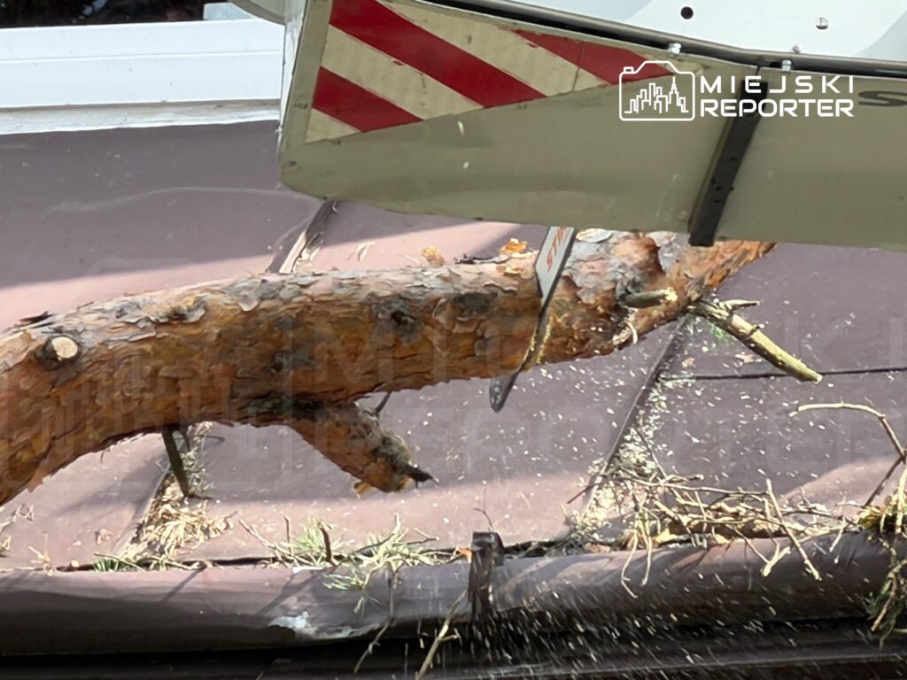 Wóz strażacki z piłą mechaniczną usuwa gałąź z dachu budynku, wokół leżą resztki roślinne.