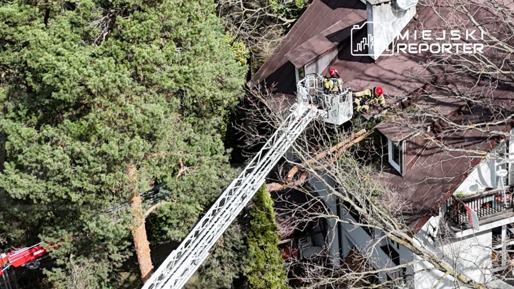 Strażacy na podnośniku usuwają gałęzie z dachu budynku otoczonego drzewami.