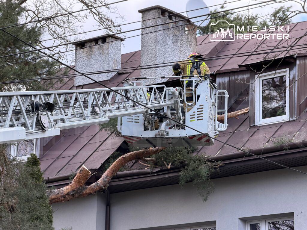 Strażacy na podnośniku usuwają gałąź drzewa z dachu budynku mieszkalnego.