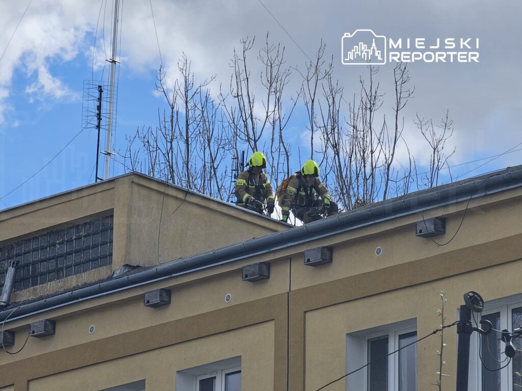 Dwaj strażacy w kaskach na dachu budynku, sprawdzają teren w otoczeniu nagich gałęzi drzew pod błękitnym niebem.