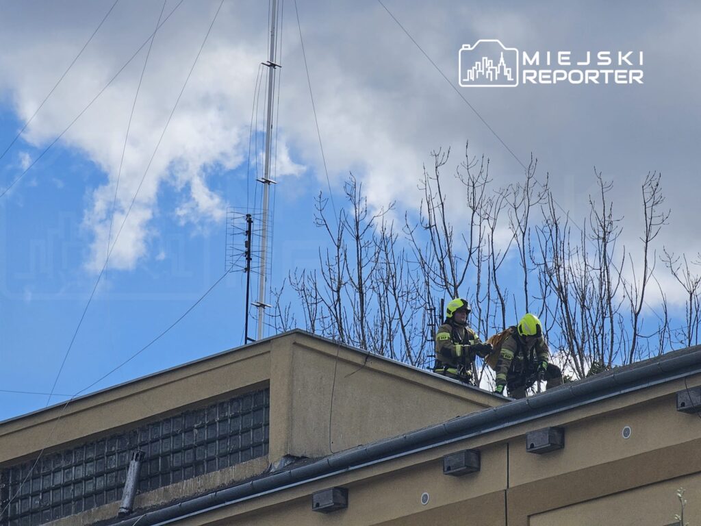Dwóch strażaków w żółtych kaskach pracuje na dachu budynku, zabezpieczając teren z drzewami w tle.