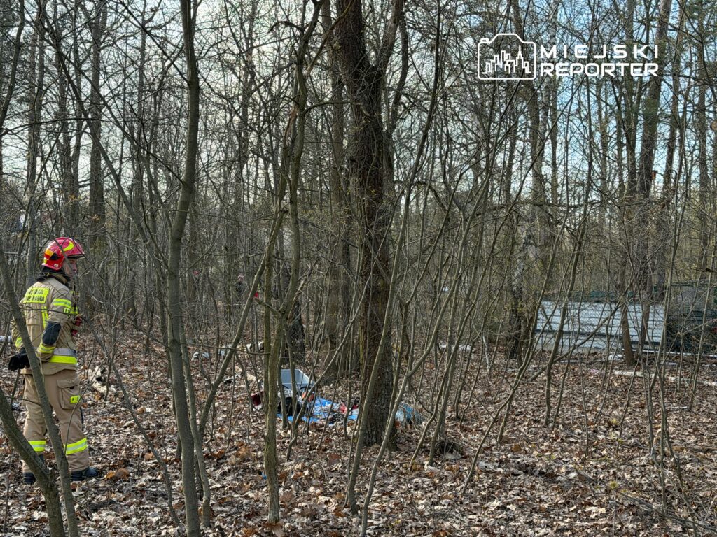 Strażak w hełmie i mundurze obserwujący teren leśny z leżącymi odpadami w tle.