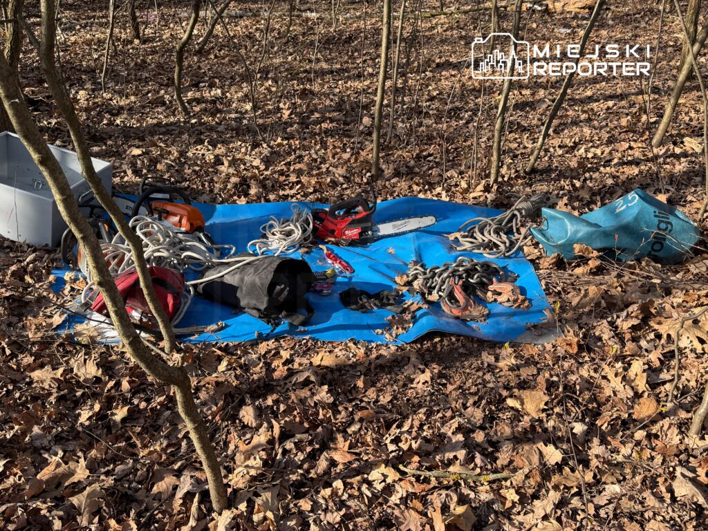Na niebieskiej plandekę w lesie rozłożone są narzędzia: piły, liny, torby i inny sprzęt. Wokół liście opadłe z drzew.