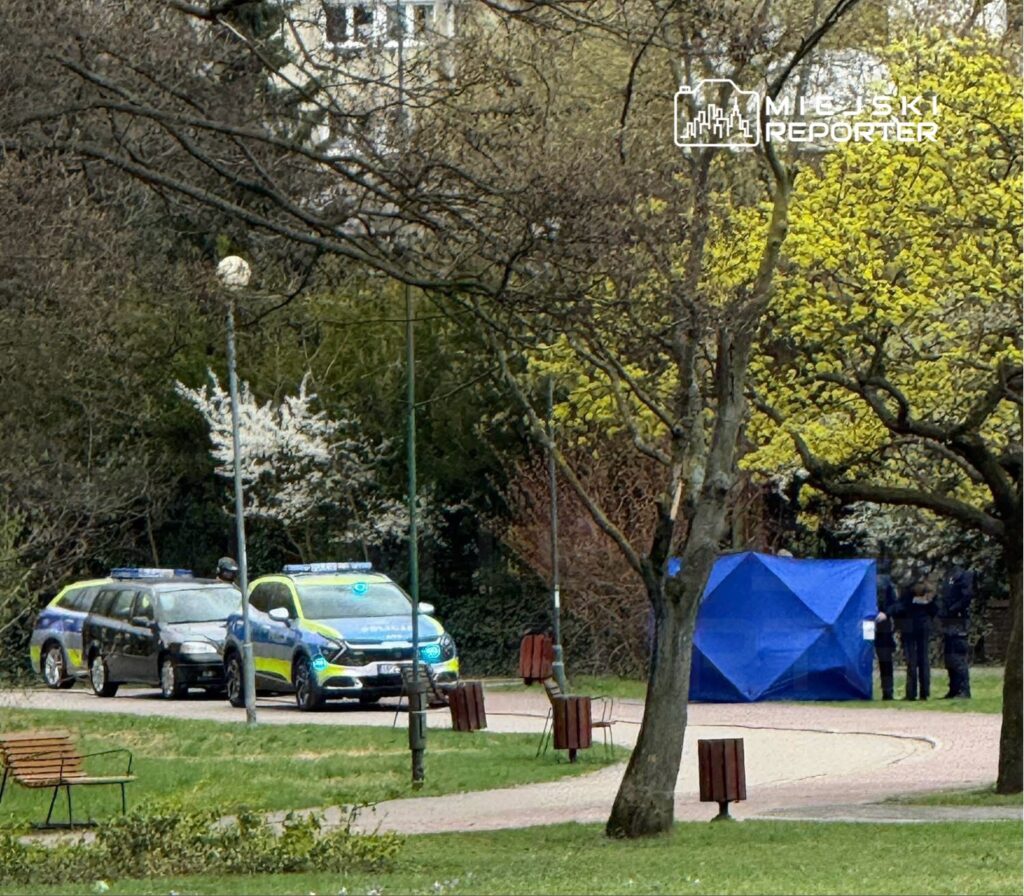 W parku, funkcjonariusze policji prowadzą działania przy niebieskim namiocie, obok zaparkowanych radiowozów.