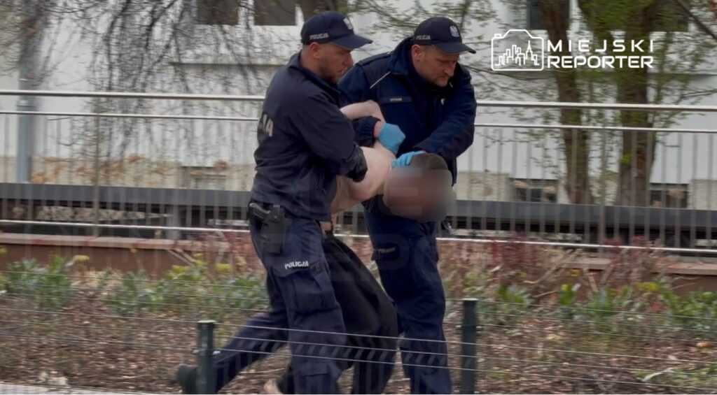 Dwaj policjanci przenoszą mężczyznę w niebieskich rękawiczkach w miejskim otoczeniu z roślinnością.