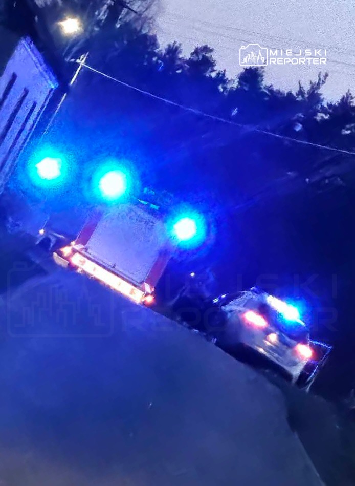 Policyjny radiowóz i pojazd straży pożarnej z włączonymi sygnałami świetlnymi na wąskiej drodze otoczonej drzewami.