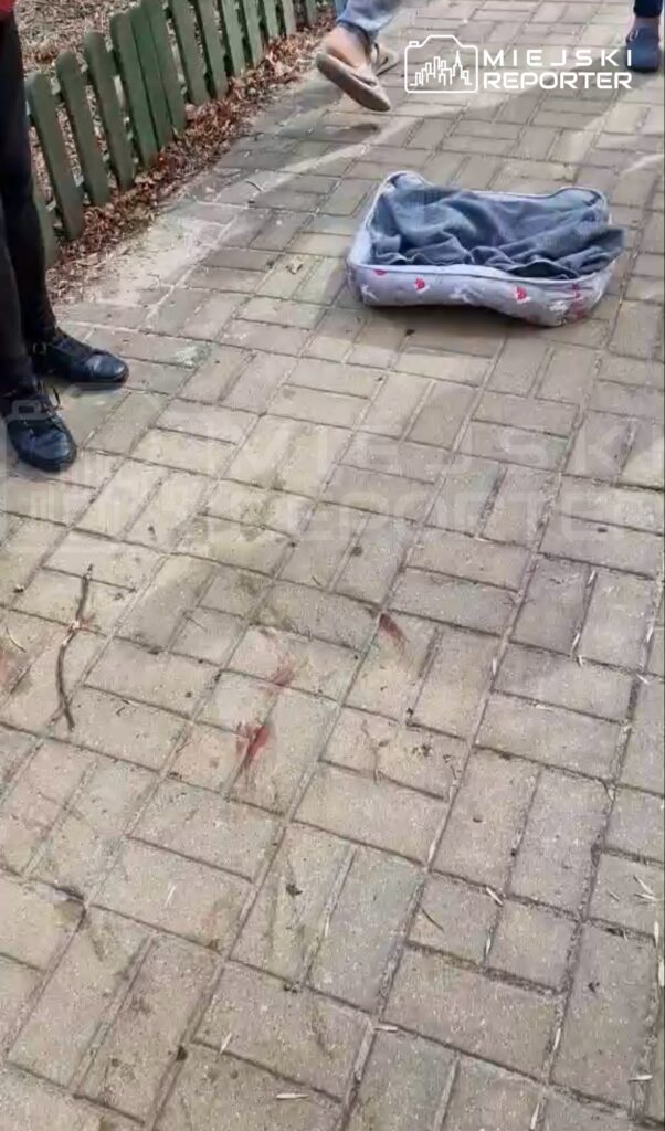 Mężczyzna w czarnych spodniach stoi obok jasnej poduszki z kocem na chodniku, na którym widoczne są plamy.