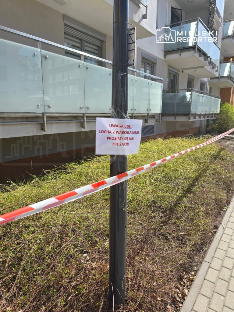 Na słupie ogłoszeniowym zawieszony jest biały plakat z napisem: "UWAGA DZIKI! LOCHA Z WARCHLAKAMI. PROSIMY SIĘ NIE ZBLIŻAĆ!!!", obok czerwono-biała taśma ostrzegawcza w otoczeniu zieleni.