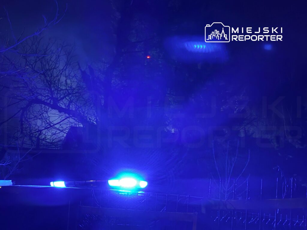Niebieskie światła policyjne migają w mrocznym otoczeniu, wśród nagich gałęzi drzew.