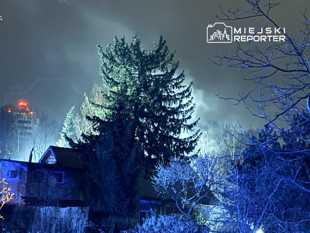 Nocny krajobraz z domem i dużym drzewem, w tle widoczne oświetlenie z wieżowca oraz mgła.