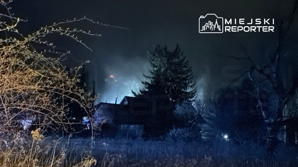 Zamglona nocna sceneria z ciemnymi drzewami i sylwetką budynku, w tle widoczne niebieskie światła.