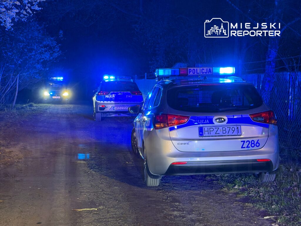 Policjanci w radiowozach z włączonymi sygnałami świetlnymi patrolują leśną drogę w nocy.