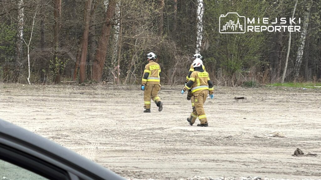 Grupa strażaków w żółtych mundurach idzie przez piaszczystą, niezagospodarowaną przestrzeń otoczoną drzewami.