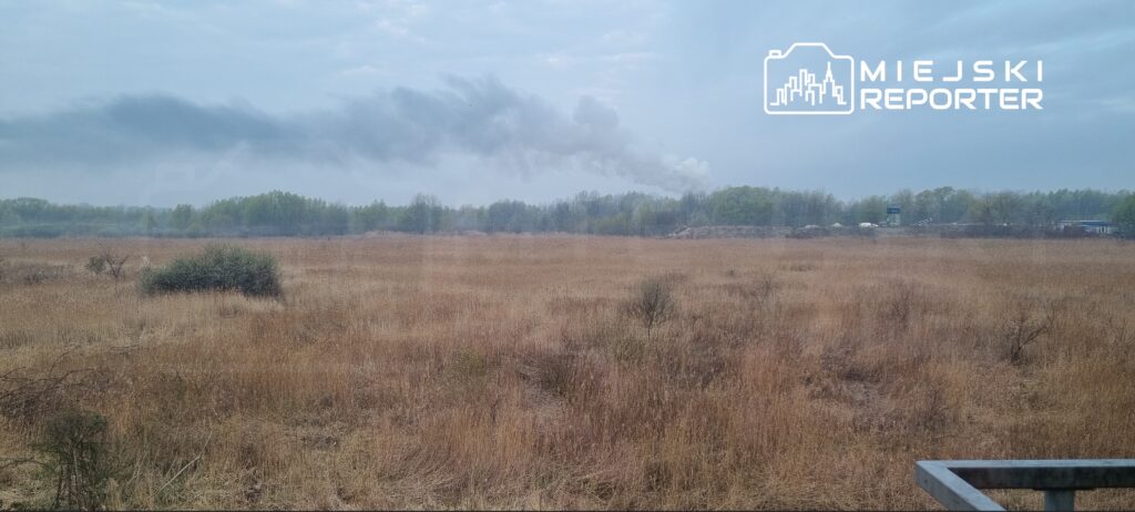 W tle widoczne są chmury dymu unoszące się nad zarośniętym polem, w oddali las i budynki.