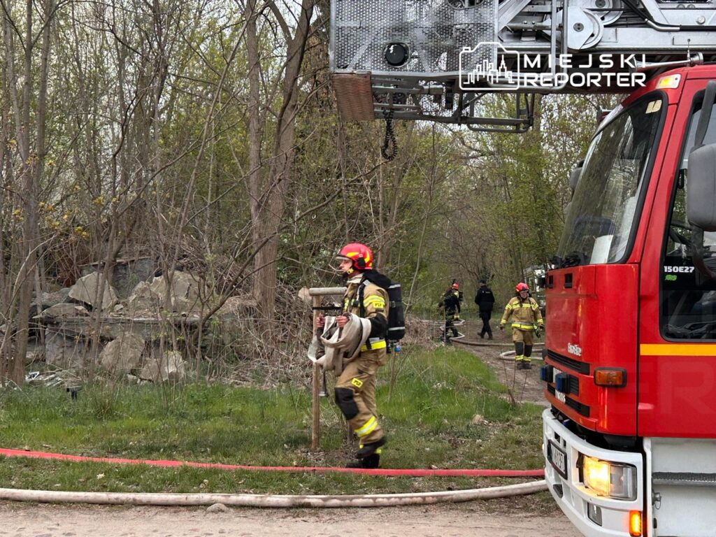 Strażak w hełmie niesie węża strażackiego w lesie, obok pracują inni strażacy i widać wóz strażacki.