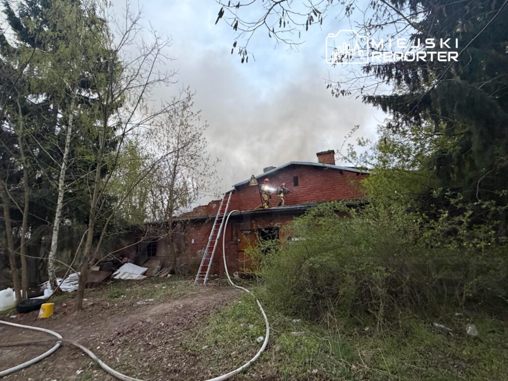 Strażak z drabiną gasi ogień na dachu czerwonobrunatnego budynku w otoczeniu drzew i zarośli.
