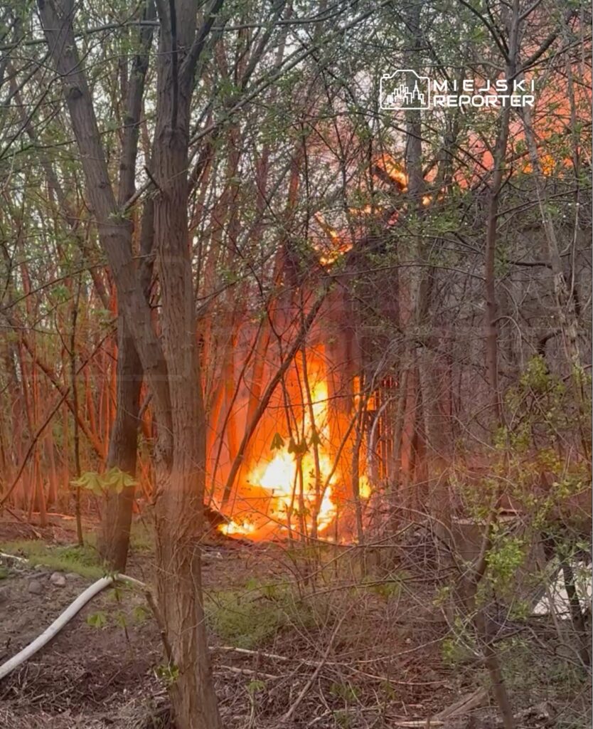 Ogień wydobywający się z budynku otoczonego drzewami w lesie, w tle widoczne płomienie i dym.