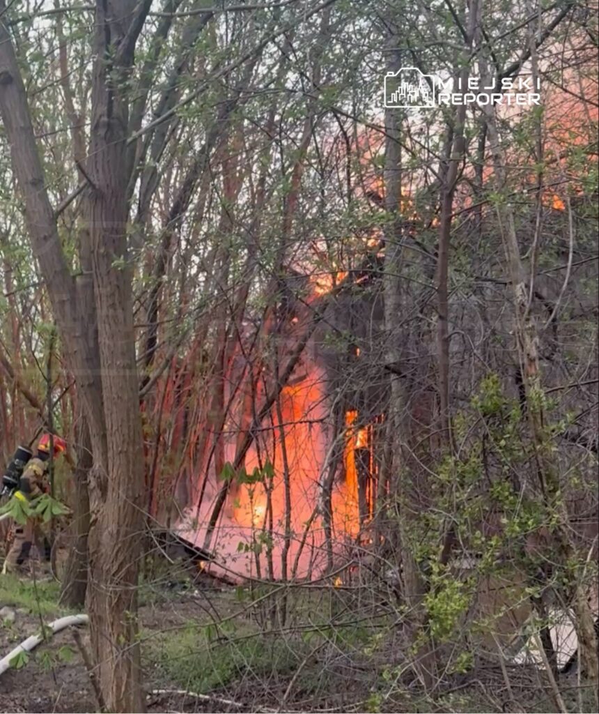 Strażak w hełmie gaszący ogień w zaroślach, w tle widoczne płomienie i dym.