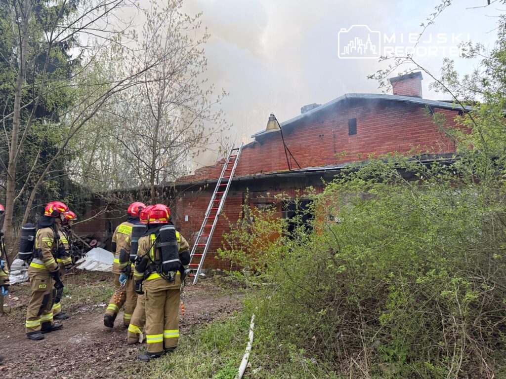 Grupa strażaków w hełmach obserwuje dym unoszący się z dachu zniszczonego budynku. W tle widoczna drabina.