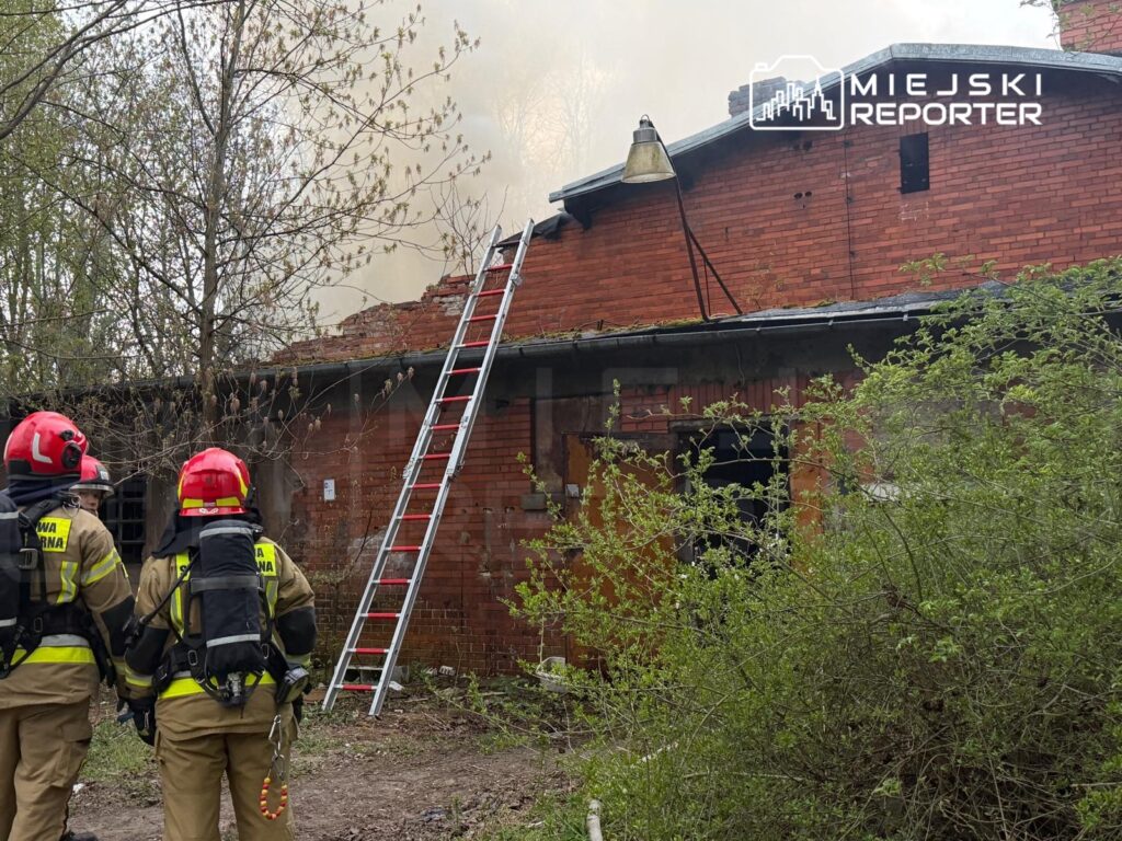 Dwaj strażacy w hełmach i mundurach obserwują pożar w opuszczonym budynku, obok stoi drabina.