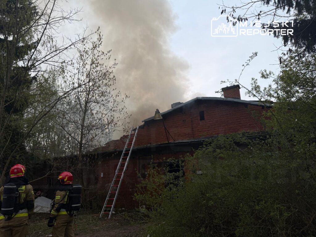 Strażacy w hełmach obserwują dym wydobywający się z dachu opuszczonego budynku, obok znajduje się drabina.