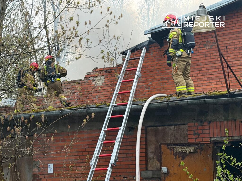 Dwóch strażaków w hełmach przeszukuje dach budynku, podczas gdy trzeci stoi obok z wężem strażackim, w tle dym.